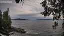 ./images/koeye/fitz-hugh/20260614/fitz-hugh20260614_193501M.jpg
