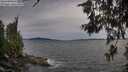 ./images/koeye/fitz-hugh/20260614/fitz-hugh20260614_201002M.jpg