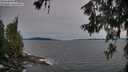 ./images/koeye/fitz-hugh/20260614/fitz-hugh20260614_205001M.jpg