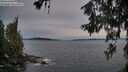 ./images/koeye/fitz-hugh/20260614/fitz-hugh20260614_213002M.jpg