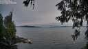 ./images/koeye/fitz-hugh/20260614/fitz-hugh20260614_214501M.jpg