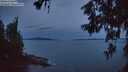 ./images/koeye/fitz-hugh/20260615/fitz-hugh20260615_044001M.jpg