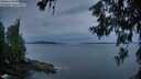 ./images/koeye/fitz-hugh/20260615/fitz-hugh20260615_045501M.jpg