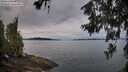 ./images/koeye/fitz-hugh/20260615/fitz-hugh20260615_055002M.jpg