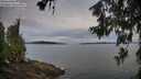 ./images/koeye/fitz-hugh/20260615/fitz-hugh20260615_061501M.jpg