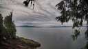 ./images/koeye/fitz-hugh/20260615/fitz-hugh20260615_064501M.jpg