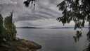 ./images/koeye/fitz-hugh/20260615/fitz-hugh20260615_065001M.jpg