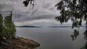 ./images/koeye/fitz-hugh/20260615/fitz-hugh20260615_070002M.jpg