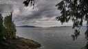 ./images/koeye/fitz-hugh/20260615/fitz-hugh20260615_074001M.jpg