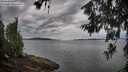 ./images/koeye/fitz-hugh/20260615/fitz-hugh20260615_074501M.jpg
