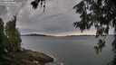 ./images/koeye/fitz-hugh/20260615/fitz-hugh20260615_083001M.jpg