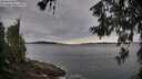 ./images/koeye/fitz-hugh/20260615/fitz-hugh20260615_084001M.jpg