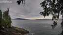 ./images/koeye/fitz-hugh/20260615/fitz-hugh20260615_084501M.jpg