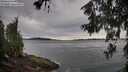 ./images/koeye/fitz-hugh/20260615/fitz-hugh20260615_085502M.jpg