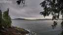 ./images/koeye/fitz-hugh/20260615/fitz-hugh20260615_090002M.jpg