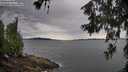 ./images/koeye/fitz-hugh/20260615/fitz-hugh20260615_092002M.jpg