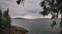 ./images/koeye/fitz-hugh/20260615/fitz-hugh20260615_093502M.jpg