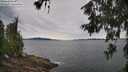 ./images/koeye/fitz-hugh/20260615/fitz-hugh20260615_095002M.jpg
