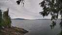 ./images/koeye/fitz-hugh/20260615/fitz-hugh20260615_095501M.jpg