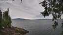 ./images/koeye/fitz-hugh/20260615/fitz-hugh20260615_100001M.jpg
