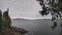 ./images/koeye/fitz-hugh/20260615/fitz-hugh20260615_101502M.jpg