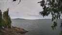 ./images/koeye/fitz-hugh/20260615/fitz-hugh20260615_102502M.jpg
