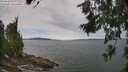 ./images/koeye/fitz-hugh/20260615/fitz-hugh20260615_103501M.jpg