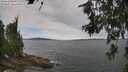 ./images/koeye/fitz-hugh/20260615/fitz-hugh20260615_104001M.jpg
