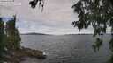 ./images/koeye/fitz-hugh/20260615/fitz-hugh20260615_105002M.jpg