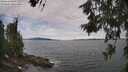 ./images/koeye/fitz-hugh/20260615/fitz-hugh20260615_105501M.jpg