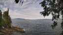 ./images/koeye/fitz-hugh/20260615/fitz-hugh20260615_111001M.jpg