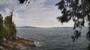 ./images/koeye/fitz-hugh/20260615/fitz-hugh20260615_111501M.jpg