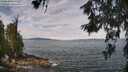 ./images/koeye/fitz-hugh/20260615/fitz-hugh20260615_112001M.jpg