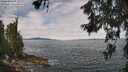 ./images/koeye/fitz-hugh/20260615/fitz-hugh20260615_113001M.jpg