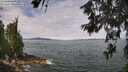 ./images/koeye/fitz-hugh/20260615/fitz-hugh20260615_113502M.jpg