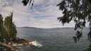 ./images/koeye/fitz-hugh/20260615/fitz-hugh20260615_114001M.jpg