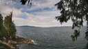 ./images/koeye/fitz-hugh/20260615/fitz-hugh20260615_114501M.jpg
