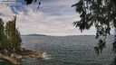 ./images/koeye/fitz-hugh/20260615/fitz-hugh20260615_115001M.jpg