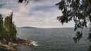./images/koeye/fitz-hugh/20260615/fitz-hugh20260615_115501M.jpg