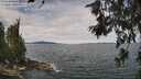 ./images/koeye/fitz-hugh/20260615/fitz-hugh20260615_120002M.jpg