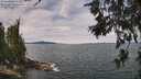 ./images/koeye/fitz-hugh/20260615/fitz-hugh20260615_121001M.jpg