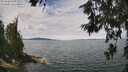 ./images/koeye/fitz-hugh/20260615/fitz-hugh20260615_122501M.jpg