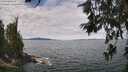 ./images/koeye/fitz-hugh/20260615/fitz-hugh20260615_123001M.jpg