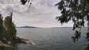 ./images/koeye/fitz-hugh/20260615/fitz-hugh20260615_123501M.jpg