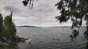./images/koeye/fitz-hugh/20260615/fitz-hugh20260615_125001M.jpg