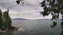 ./images/koeye/fitz-hugh/20260615/fitz-hugh20260615_125501M.jpg