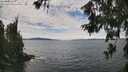 ./images/koeye/fitz-hugh/20260615/fitz-hugh20260615_134501M.jpg