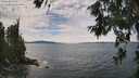 ./images/koeye/fitz-hugh/20260615/fitz-hugh20260615_135001M.jpg