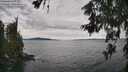 ./images/koeye/fitz-hugh/20260615/fitz-hugh20260615_143501M.jpg