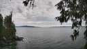 ./images/koeye/fitz-hugh/20260615/fitz-hugh20260615_145001M.jpg